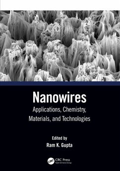 Cover Nanowires (eBook, PDF)