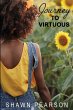 Journey To Virtuous - Bild 1