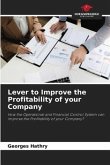 Lever to Improve the Profitability of your Company