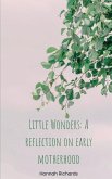 Little Wonders Little Wonders