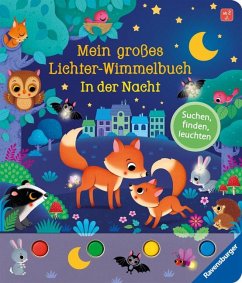 Mein großes Lichter-Wimmelbuch: In der Nacht - Grimm, Sandra