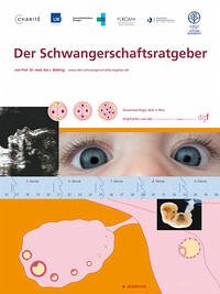 Der Schwangerschaftsratgeber : Der wissenschaftliche, kompakte und laienverständliche Ratgeber für Frauen mit Kinderwunsch und Schwangere - rundherum gut informiert