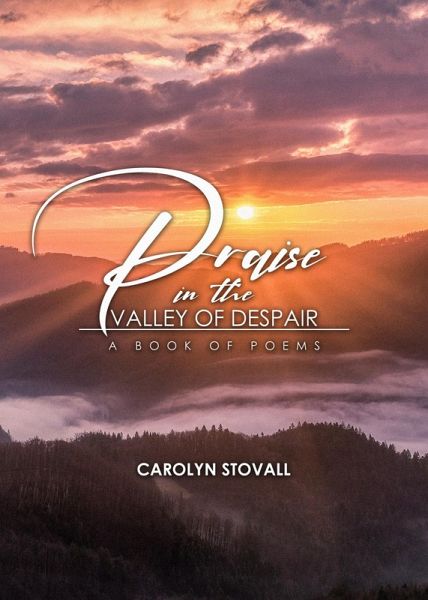 Praise in the Valley of Despair (eBook, ePUB)