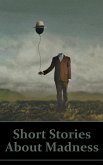 Short Stories on Madness (eBook, ePUB) Short Stories on Madness (eBook, ePUB)