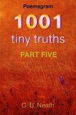 1001 Tiny Truths (1001 Tiny Truths - Series 1 - 6, #5) (eBook, ePUB) 1001 Tiny Truths (1001 Tiny Truths - Series 1 - 6, #5) (eBook, ePUB)