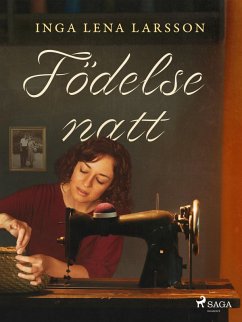 Cover Födelsenatt (eBook, ePUB)