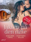 Jakten på den rätte - Tredje advent (eBook, ePUB)