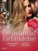 En oväntad förbindelse - Andra advent (eBook, ePUB)