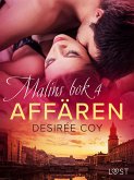 Affären - Malins bok 4 (eBook, ePUB)