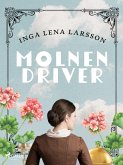 Molnen driver (eBook, ePUB)