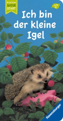 Cover Ich bin der kleine Igel