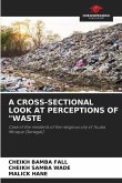 A CROSS-SECTIONAL LOOK AT PERCEPTIONS OF &quote;WASTE