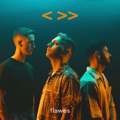 One Step Back,Two Steps Forward - Flawes