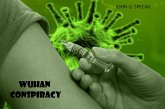 Wuhan Conspiracy (eBook, ePUB)
