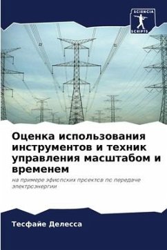 Ocenka ispol'zowaniq instrumentow i tehnik uprawleniq masshtabom i wremenem - Delessa, Tesfaje