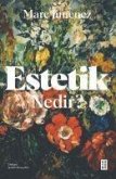 Estetik Nedir S