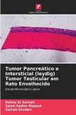 Tumor Pancreático e Intersticial (leydig) Tumor Testicular em Rato Envelhecido