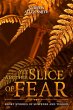 Yet Another Slice of Fear - Bild 1