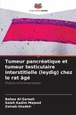 Tumeur pancréatique et tumeur testiculaire interstitielle (leydig) chez le rat âgé