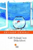 Gül Sokaginin Dikenleri Gül Sokaginin Dikenleri