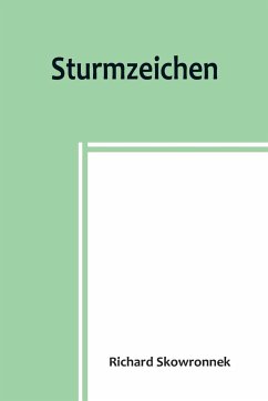 Sturmzeichen - Skowronnek, Richard