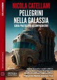 Pellegrini nella galassia. Guida pratica per accompagnatori (eBook, ePUB)