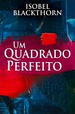 Um Quadrado Perfeito (eBook, ePUB)