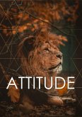 ATTITUDE (eBook, ePUB)