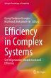 Efficiency in Complex Systems - Bild 1