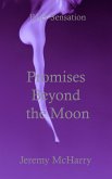 Promises Beyond the Moon (eBook, ePUB)