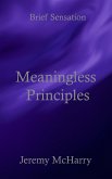 Meaningless Principles (eBook, ePUB)