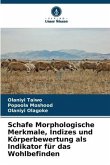 Schafe Morphologische Merkmale, Indizes und Körperbewertung als Indikator für das Wohlbefinden