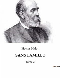 SANS FAMILLE - Malot, Hector