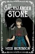 The Salamander Stone (eBook, ePUB) - Bild 1