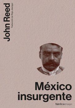 Cover México Insurgente (eBook, ePUB)