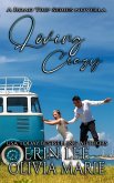 Loving Crazy (eBook, ePUB)