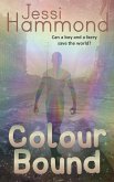 Colour Bound (eBook, ePUB)