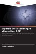 Aperçu de la technique d'injection RSP - Bild 1