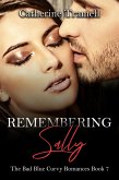 Remembering Sally (The Bad Blue Curvy Romances, #7) (eBook, ePUB)