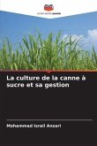 La culture de la canne à sucre et sa gestion