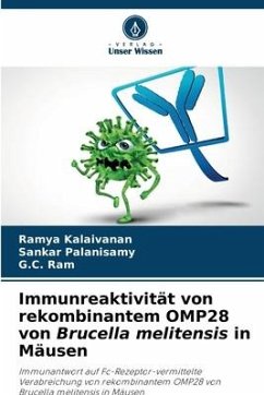 Immunreaktivität von rekombinantem OMP28 von Brucella melitensis in Mäusen - Kalaivanan, Ramya;Palanisamy, Sankar;Ram, G.C.