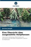 Eine Übersicht über ausgewählte Heilpflanzen