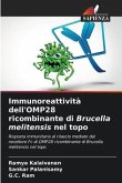 Immunoreattività dell'OMP28 ricombinante di Brucella melitensis nel topo