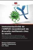 Immunoréactivité de l'OMP28 recombinant de Brucella melitensis chez la souris