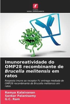 Imunoreatividade do OMP28 recombinante de Brucella melitensis em ratos - Kalaivanan, Ramya;Palanisamy, Sankar;Ram, G.C.