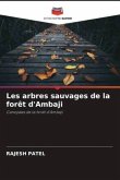 Les arbres sauvages de la forêt d'Ambaji