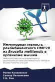 Immunoreaktiwnost' rekombinantnogo OMP28 iz Brucella melitensis w organizme myshej
