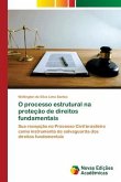 O processo estrutural na proteção de direitos fundamentais