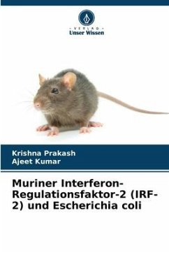 Muriner Interferon-Regulationsfaktor-2 (IRF-2) und Escherichia coli - Prakash, Krishna;Kumar, Ajeet