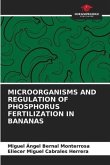 MICROORGANISMS AND REGULATION OF PHOSPHORUS FERTILIZATION IN BANANAS